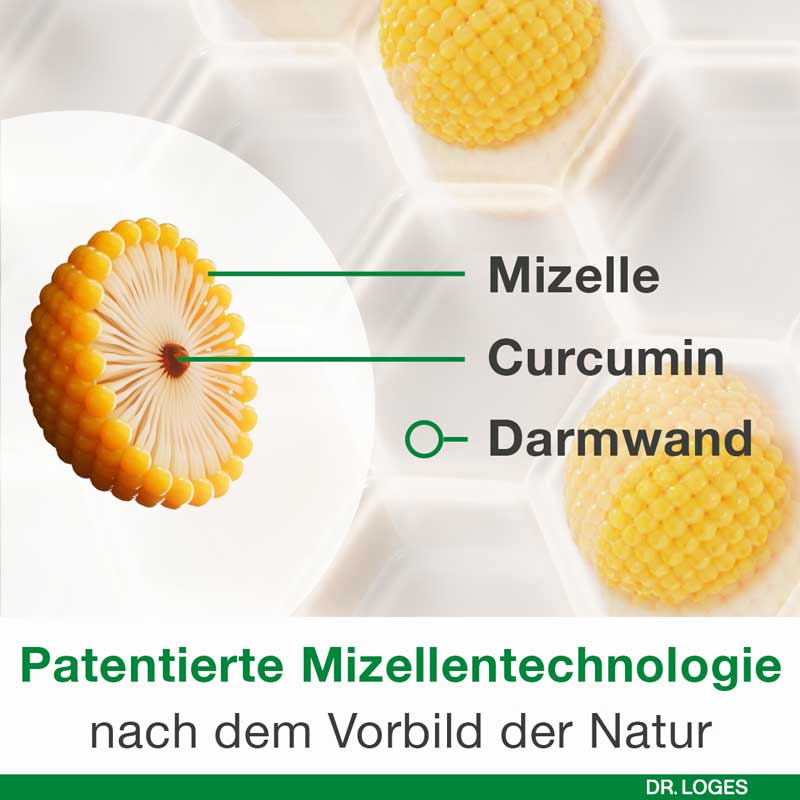 curcumin-Loges plus Boswellia  60 St Kapseln