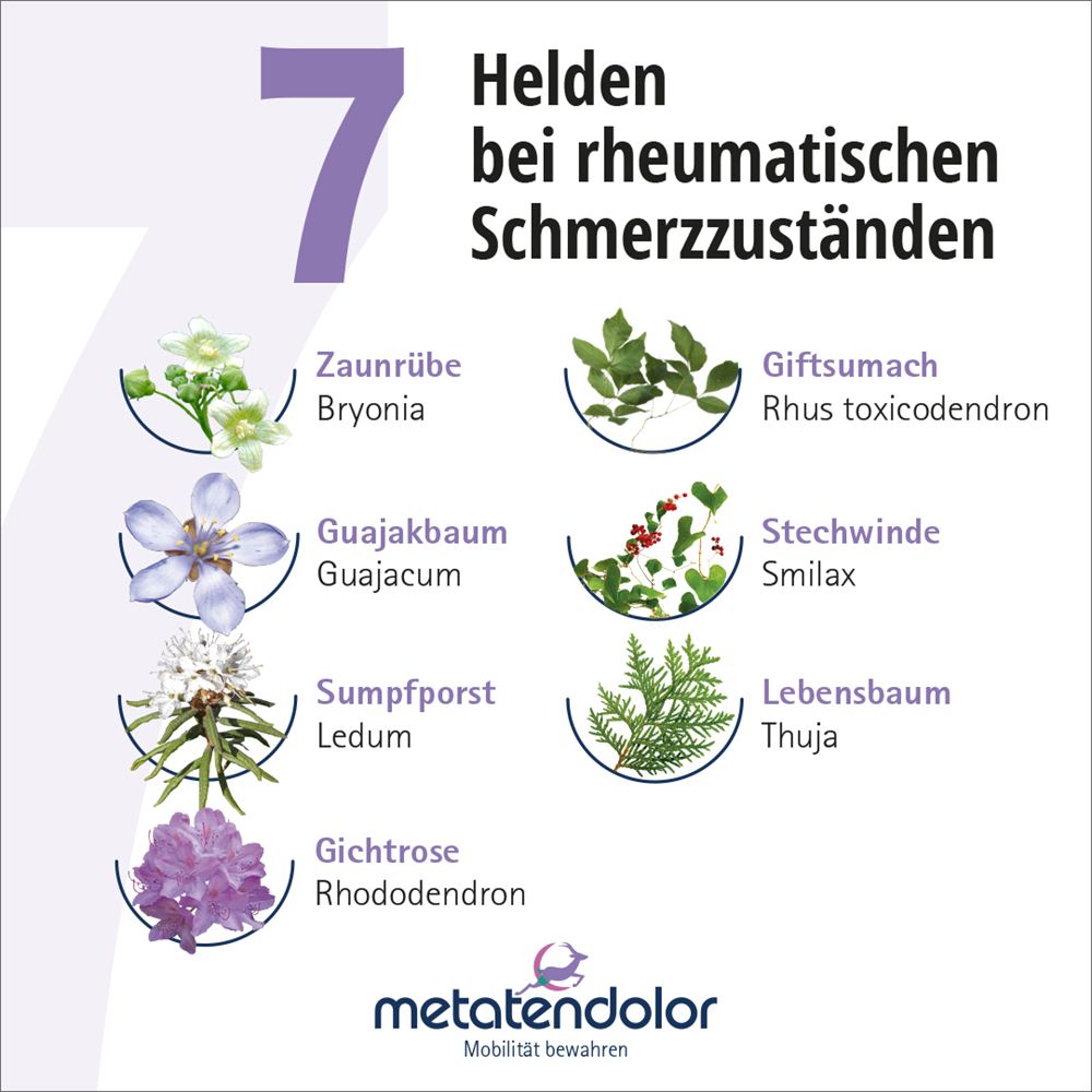METATENDOLOR Tropfen zum Einnehmen 50 ml Mischung