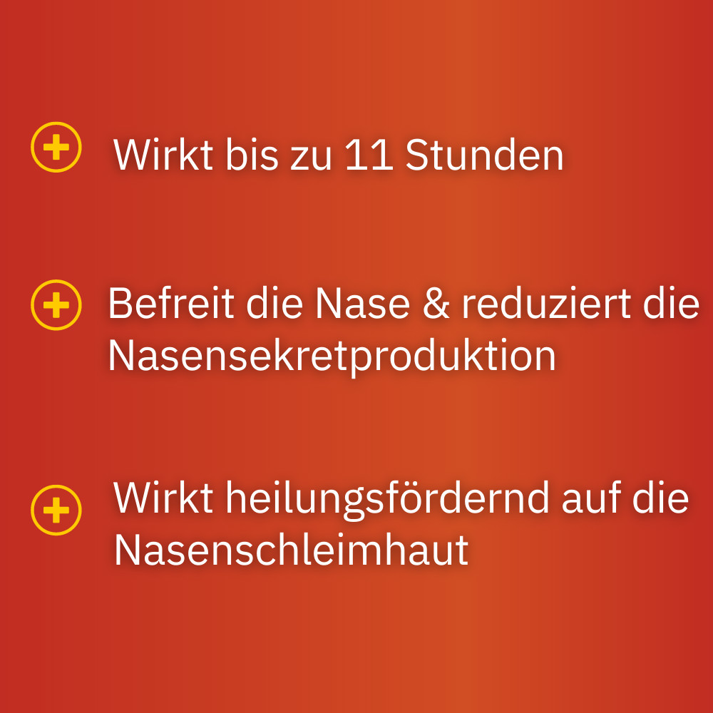 SEPTANASAL 1 mg/ml + 50 mg/ml Nasenspray 10 ml Nasenspray