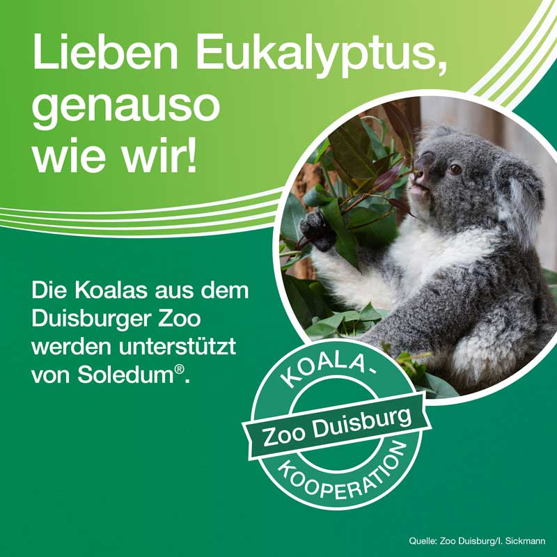 Soledum Balsam  20 ml Flüssigkeit