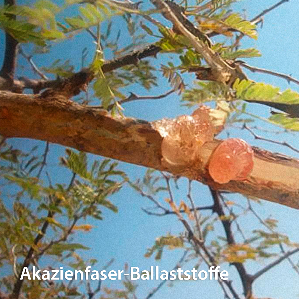 Chi-Cafe balance Wellness Genießer Kaffee mit Mineralstoffen