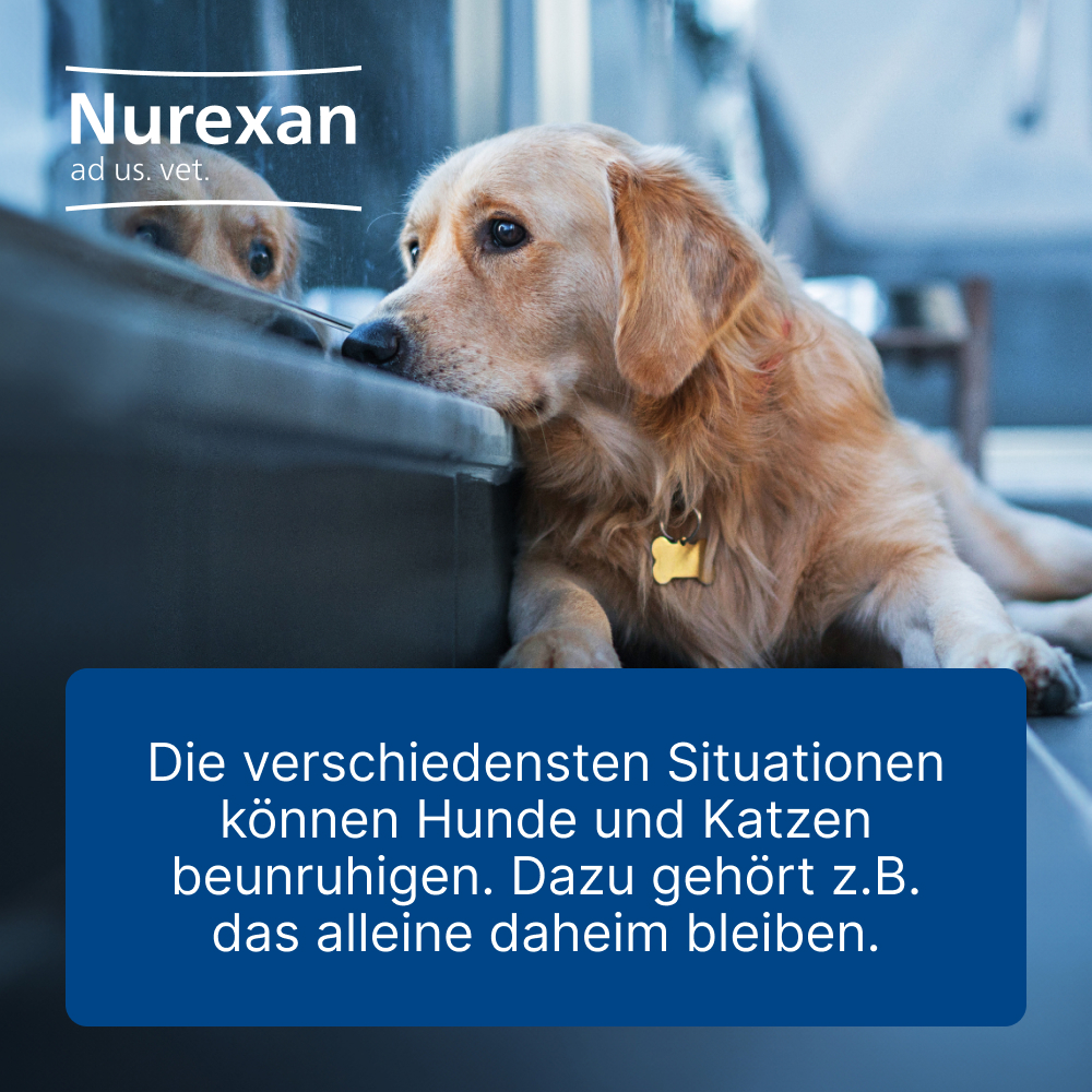 Nurexan ad us. vet. Für Hunde und Katzen 100 St Tabletten