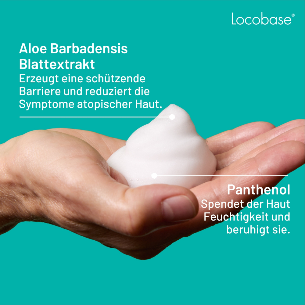 Locobase ANTI-JUCKREIZ SCHAUM 100 ml Schaum