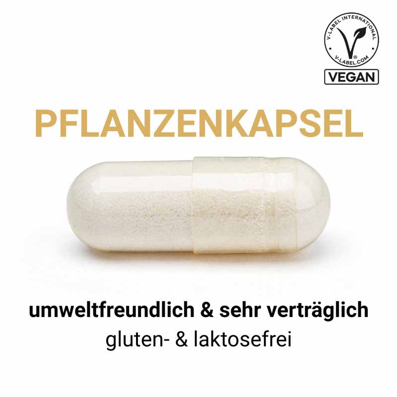 SwissOvit Magnesium Malat + Vitamin B6 30 St Kapseln