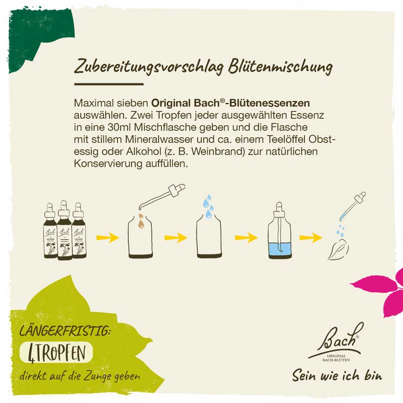 BACHBLÜTEN Original Professional Set 40 x 20ml 800 ml Tropfen