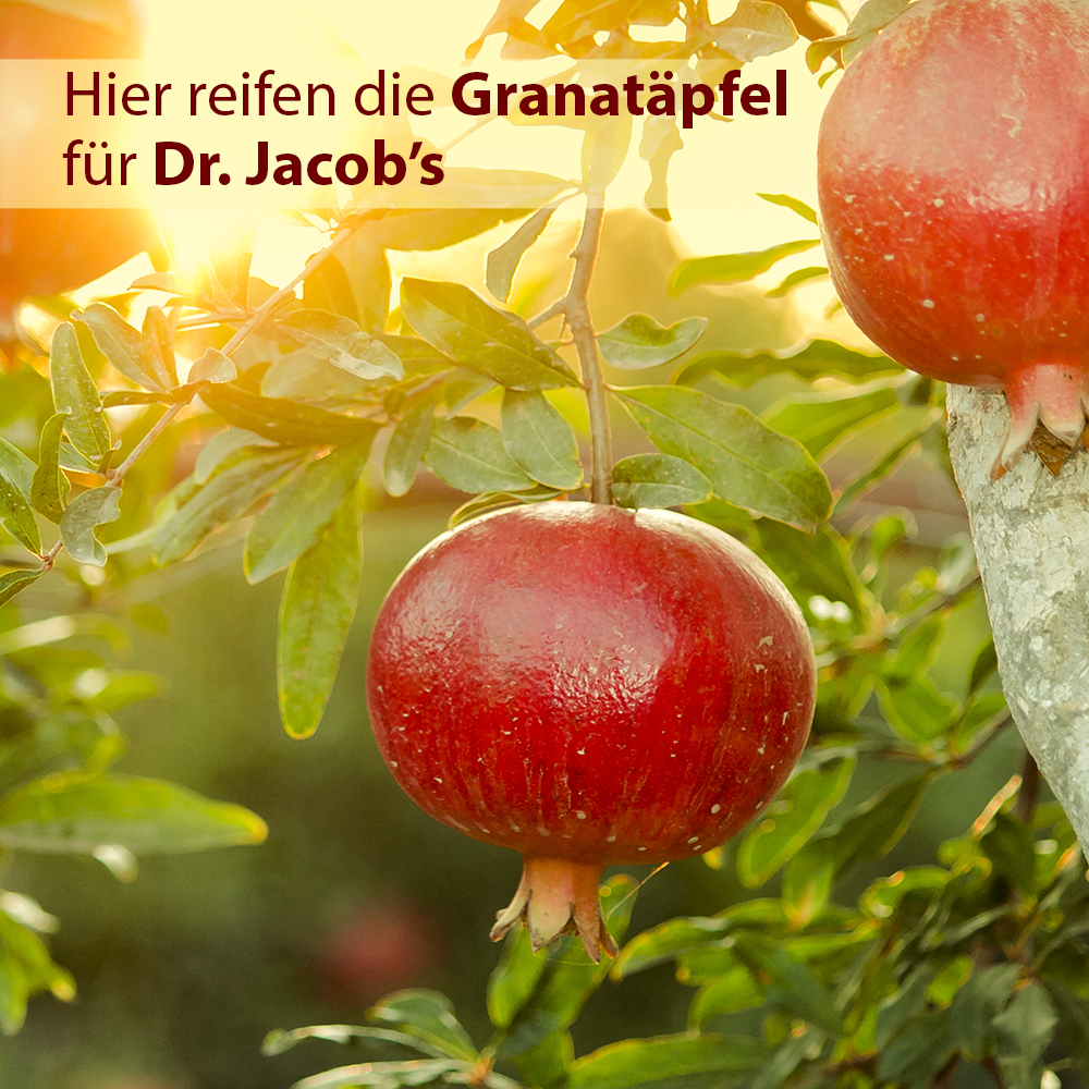 Dr. Jacob's GranaProstan Granatapfelsaft-Extrakt fermentiert