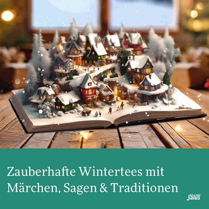 Salus Wintertee Winter-Trolle 15 St Filterbeutel