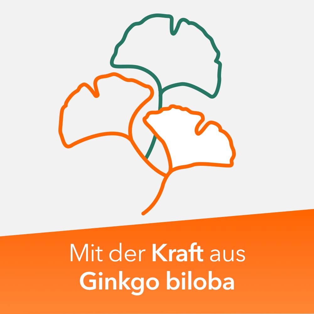 Ginkobil ratiopharm 240mg mit Ginkgo biloba 30 St Filmtabletten