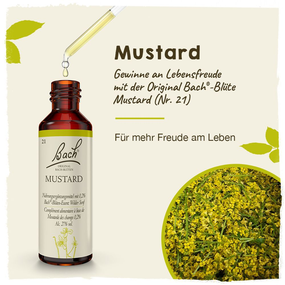 BACHBLÜTEN Original Mustard Nr. 21 20 ml Tropfen