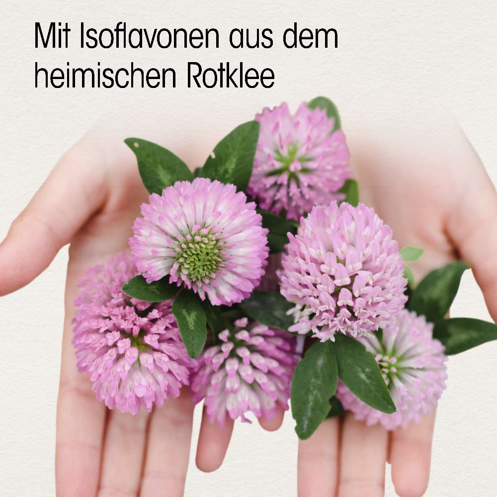 Dr. Böhm Isoflavon 90 mg Dragees 60 St Dragees