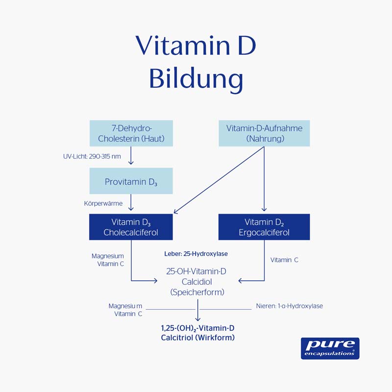 pure encapsulations DAS ORIGINAL Vitamin D3 liquid 22.5 ml Liquidum