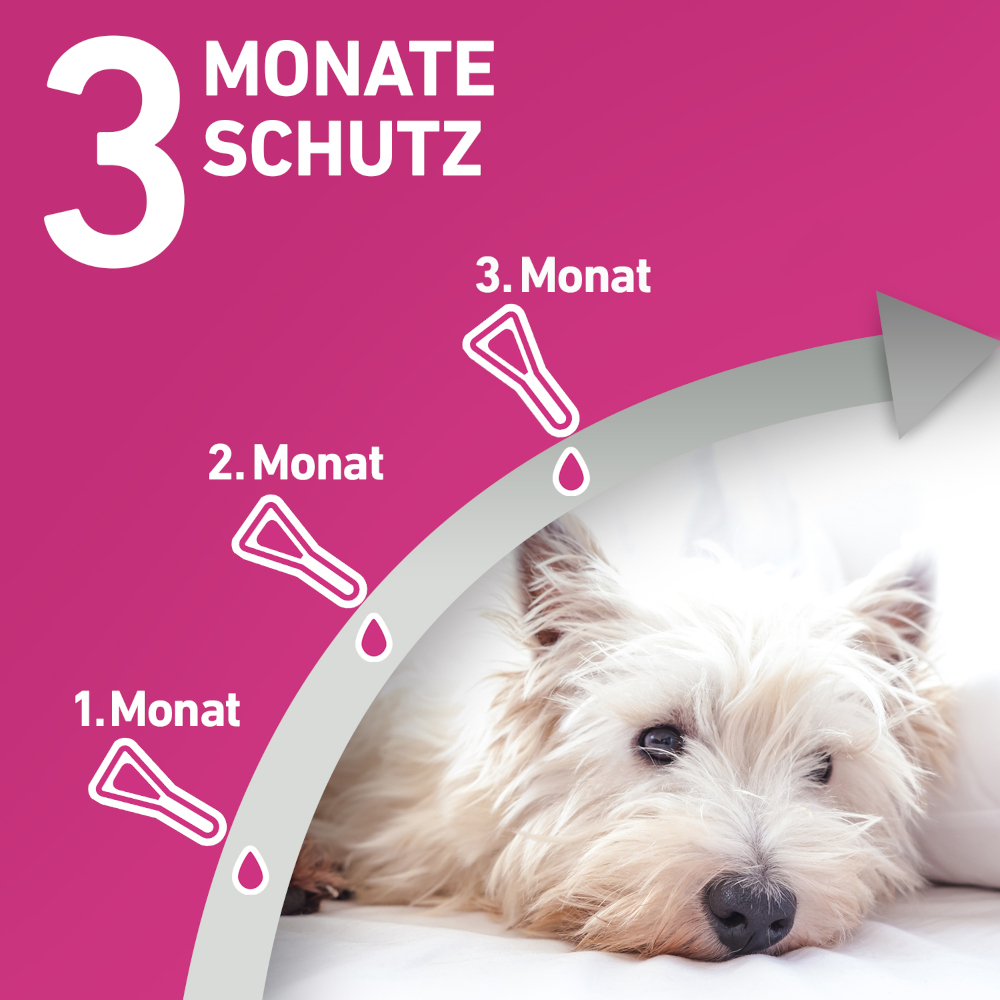FRONTLINE TRI-ACT gegen Zecken, Flöhe und fliegende Insekten für Hunde S (5-10 kg)  3 St Lösung