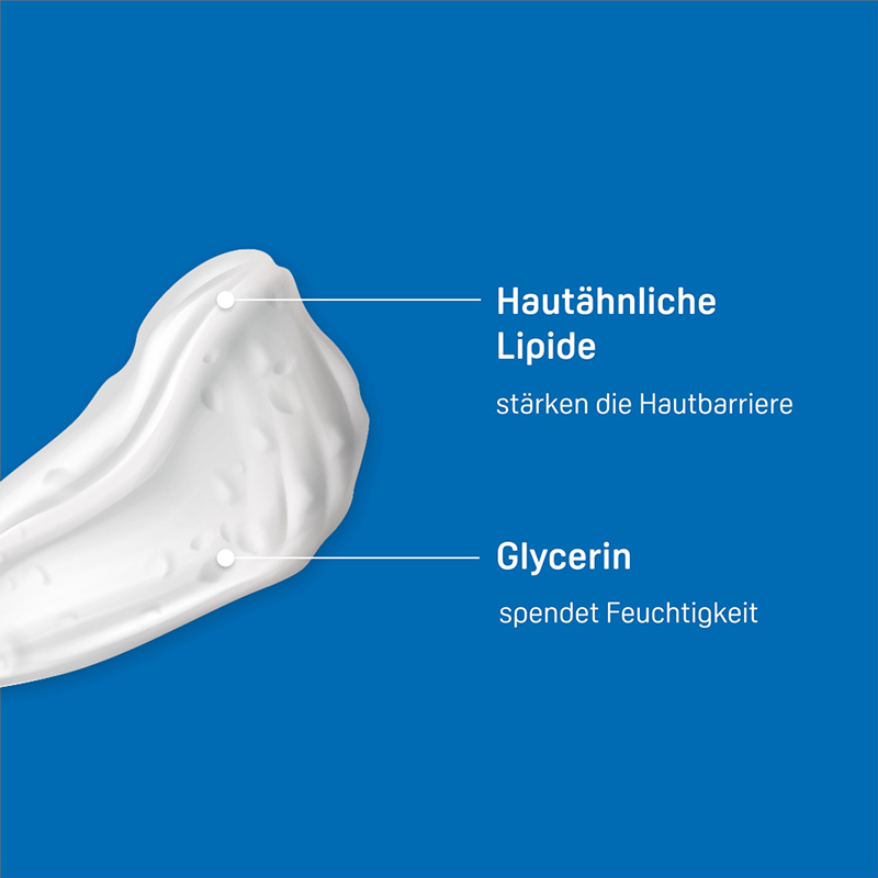 PHYSIOGEL Daily Moisture Therapy Intensiv Creme normale bis trockene Haut  100 ml Creme