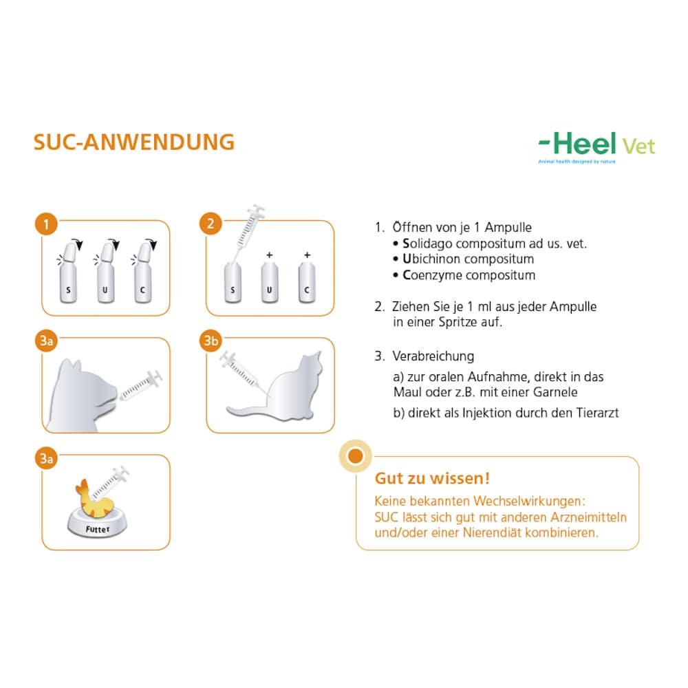 Coenzyme compositum ad. us. vet. 100 St Ampullen