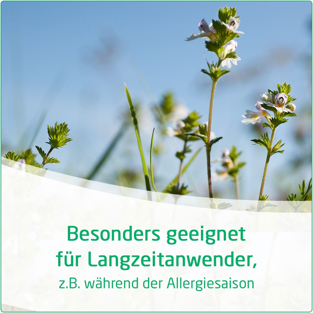 WELEDA VISIODORON EUPHRASIA 10 ml Augentropfen