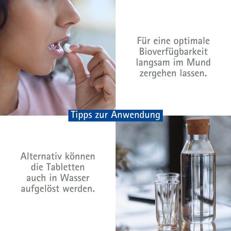 Schüßler-Salz Nr. 2 Calcium phosphoricum D6 4000 St Tabletten