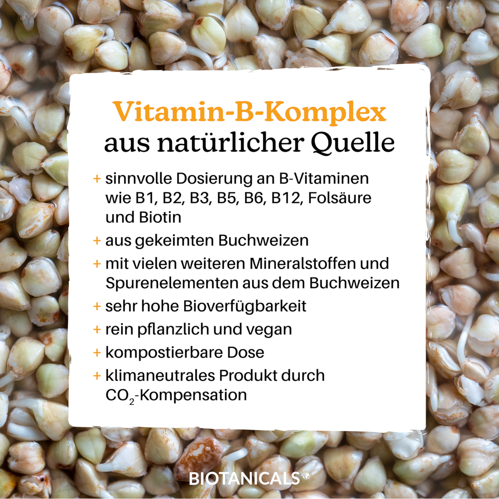 BIOTANICALS VITAMIN B KOMPLEX 90 St Kapseln