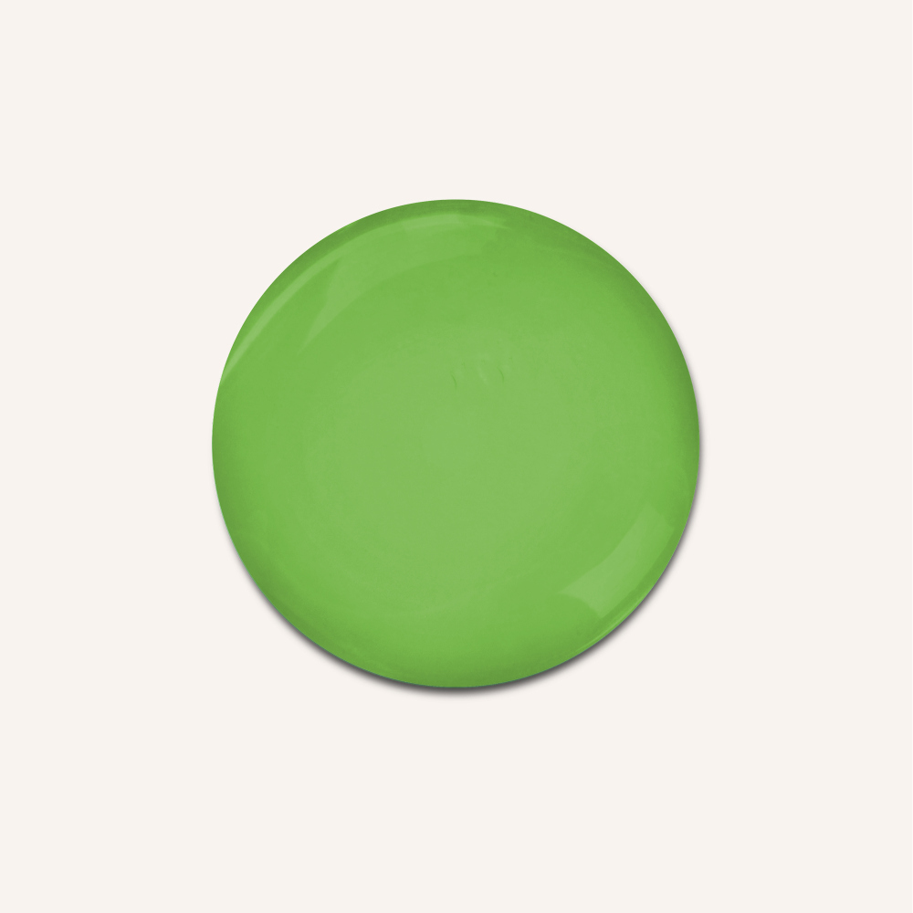 RAUSCH Anti-Pollution-Shampoo mit Schweizer Apfel 40 ml Shampoo