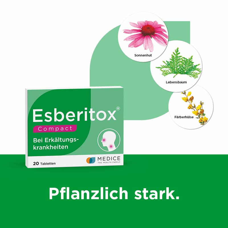 Esberitox COMPACT Tabletten bei Erkältungskrankheiten 20 St Tabletten