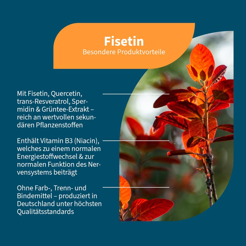 NatuGena Fisetin 90 St Kapseln