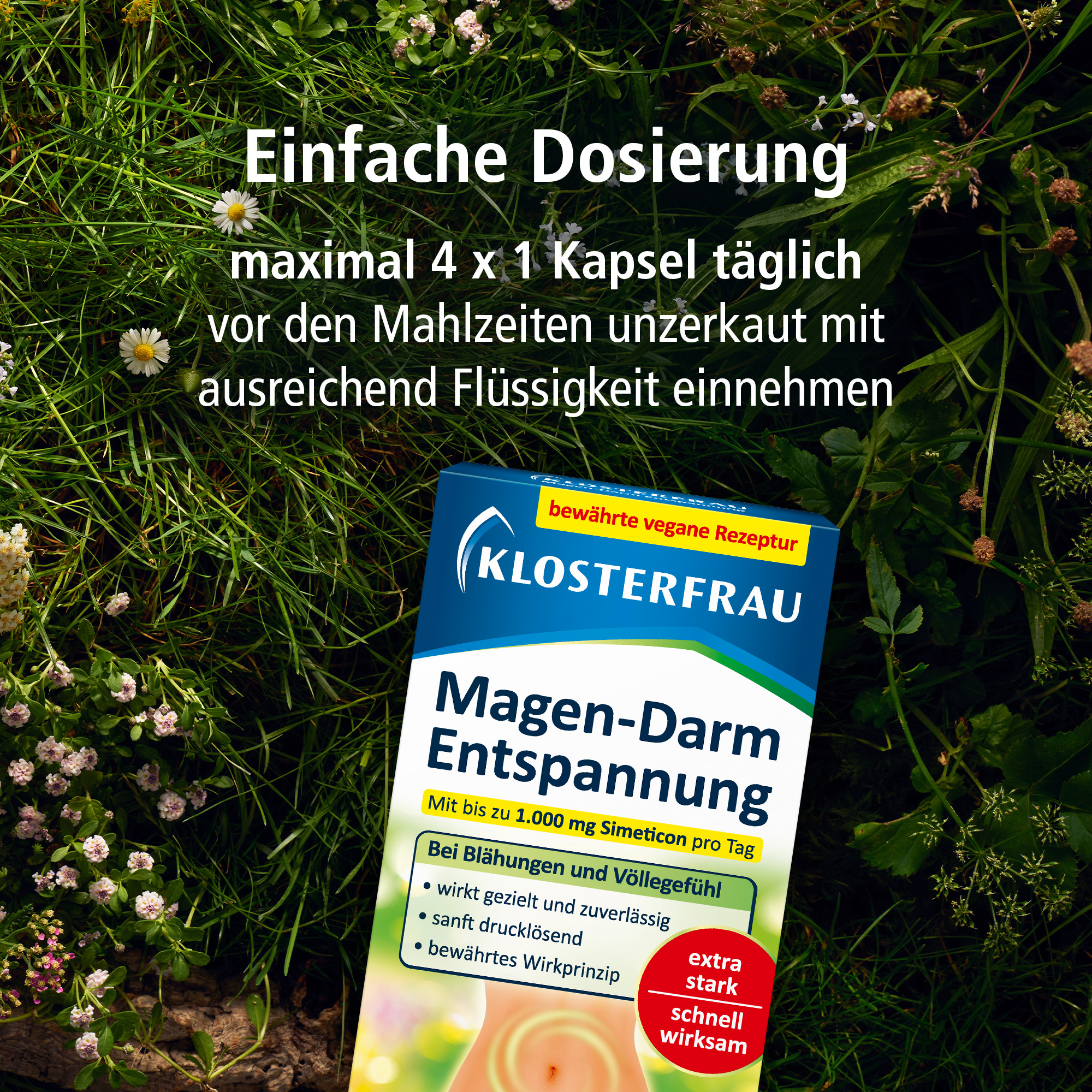 KLOSTERFRAU Magen-Darm Entspannung  20 St Kapseln