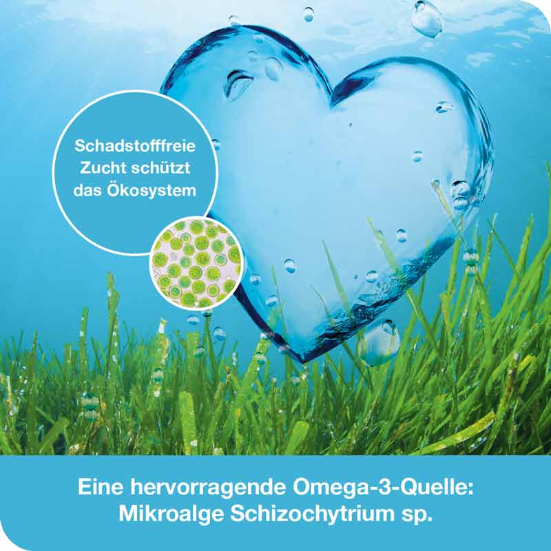 omega3-Loges pflanzlich 60 St Kapseln
