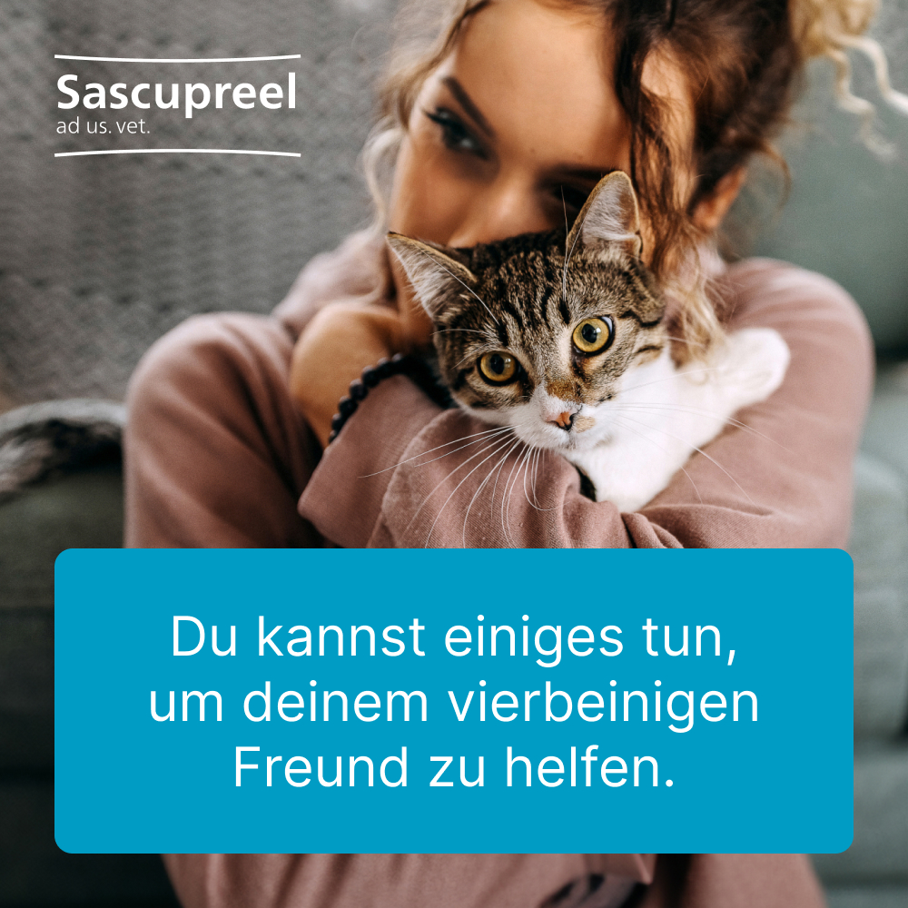 Sascupreel ad us.vet. 100 St Tabletten