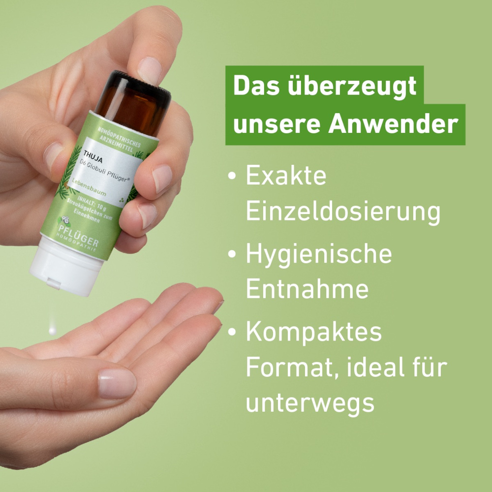 Thuja C30 Globuli Pflüger 10 g Globuli