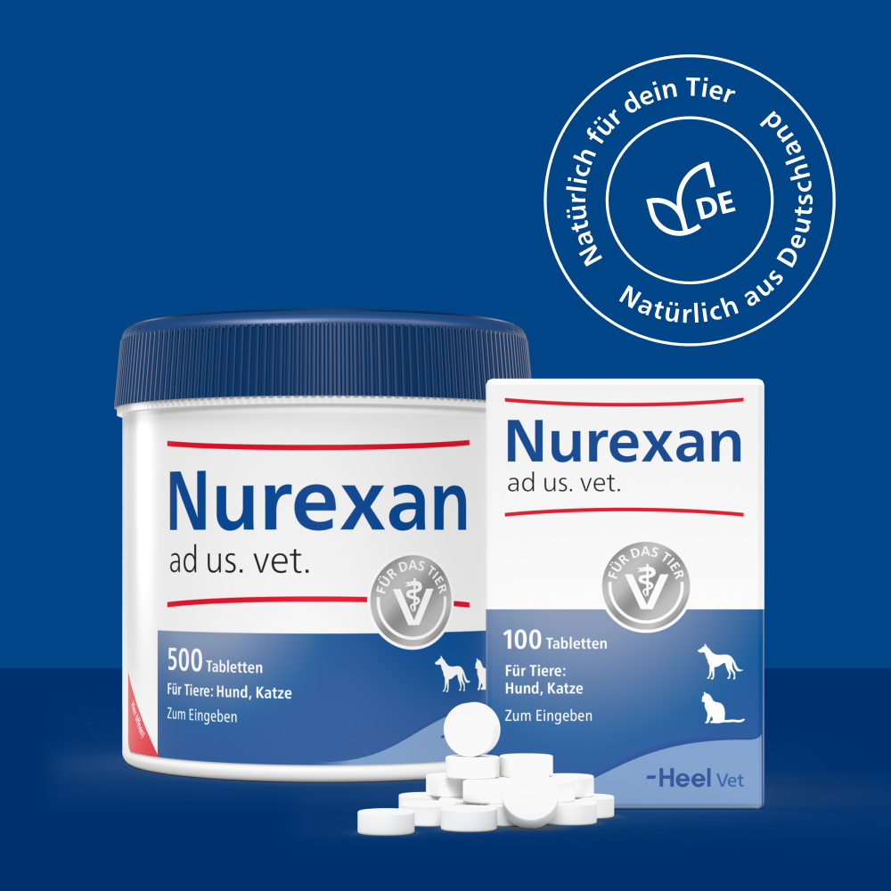 Nurexan ad us. vet. Für Hunde und Katzen 100 St Tabletten