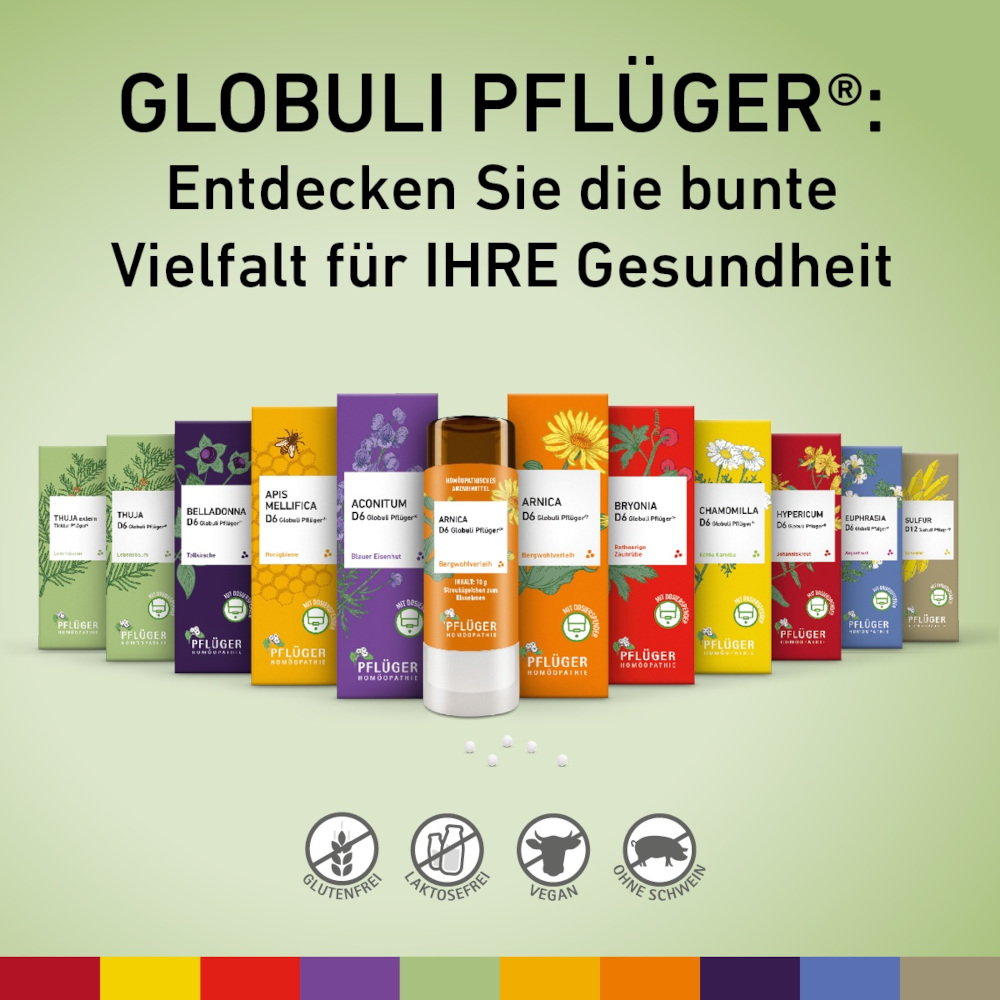 Arnica D6 Globuli Pflüger 10 g Globuli