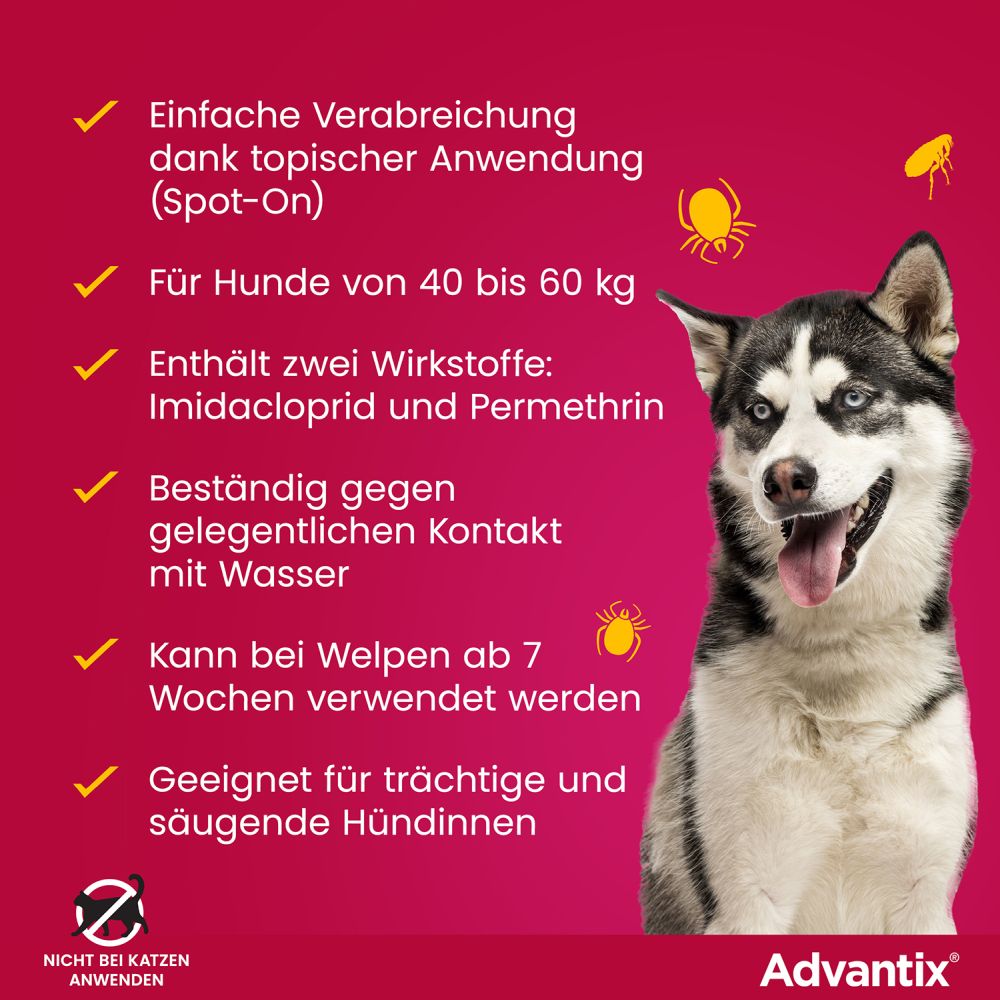 ADVANTIX SPOT-ON HUND 40-60KG 4X6.0 ml Lösung