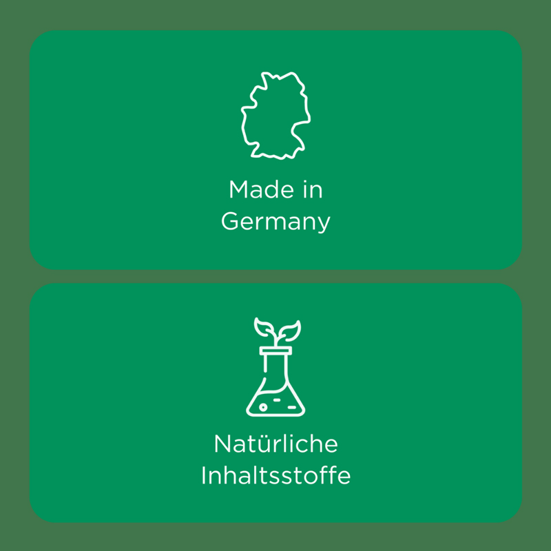 Zeel comp. N  100 St Tabletten