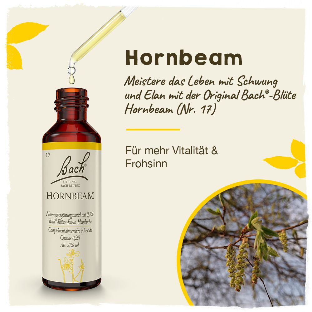 BACHBLÜTEN Original Hornbeam Nr. 17 20 ml Tropfen
