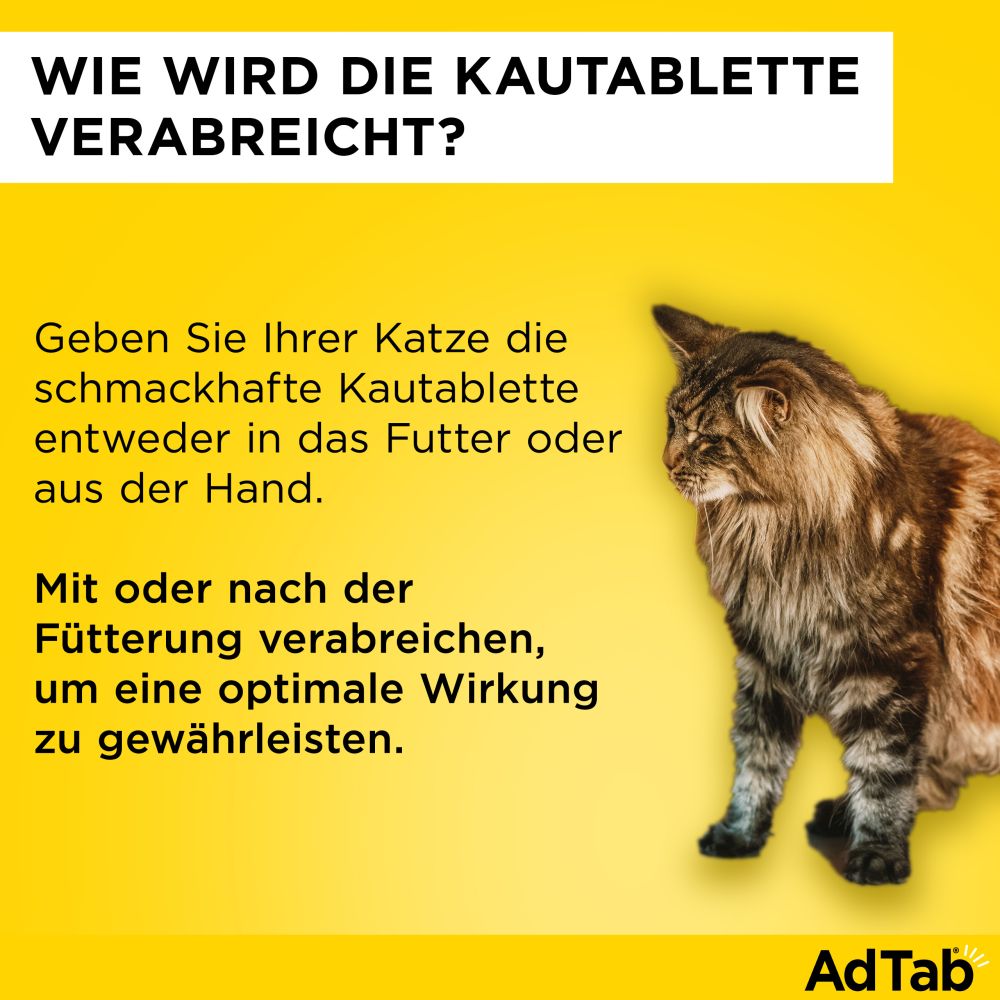 ADTAB 48MG KATZE 2-8KG 3 St Kautabletten