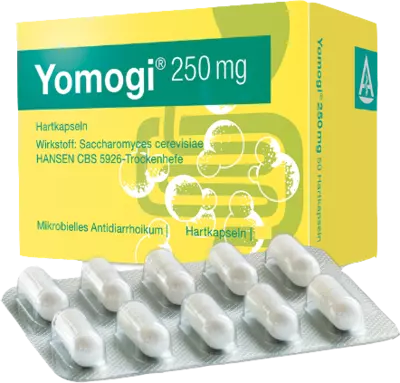 Yomogi 250mg 5 Billionen Zellen 100 St Hartkapseln