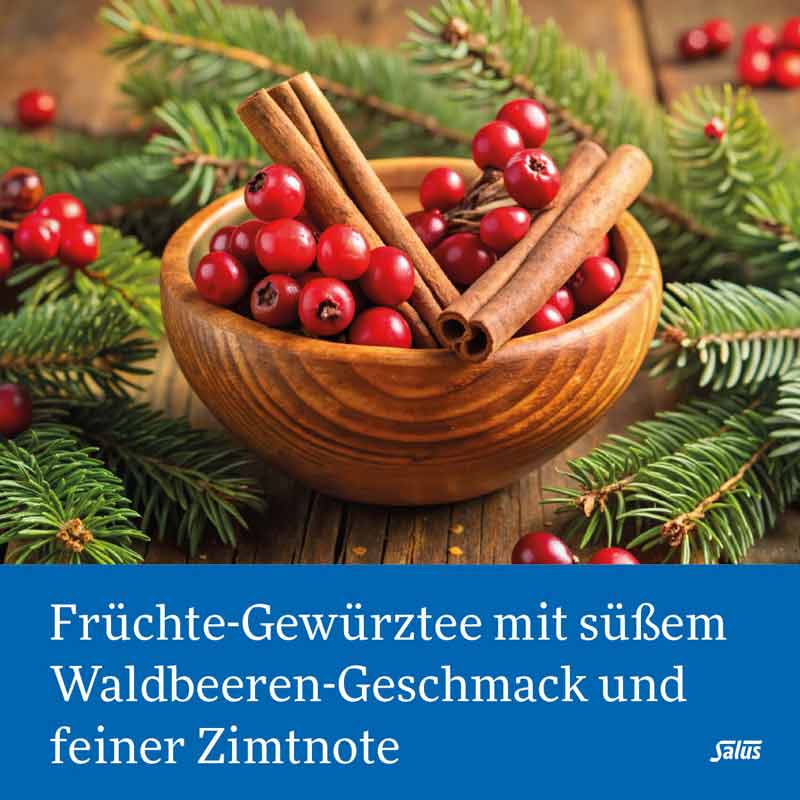 Salus Wintertee Polarzauber 15 St Filterbeutel