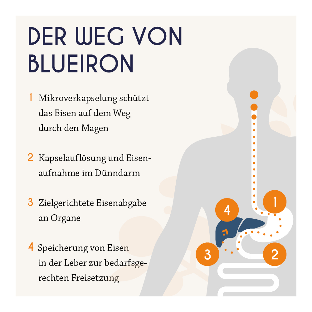 BLUE IRON Eisen Liquid 250 ml Flüssigkeit zum Einnehmen
