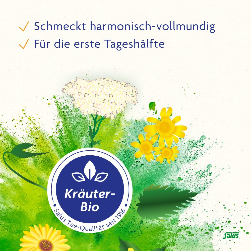 Salus Basen-Aktiv Kräutertee Nr. 1 Brennessel Linde 40 St Filterbeutel