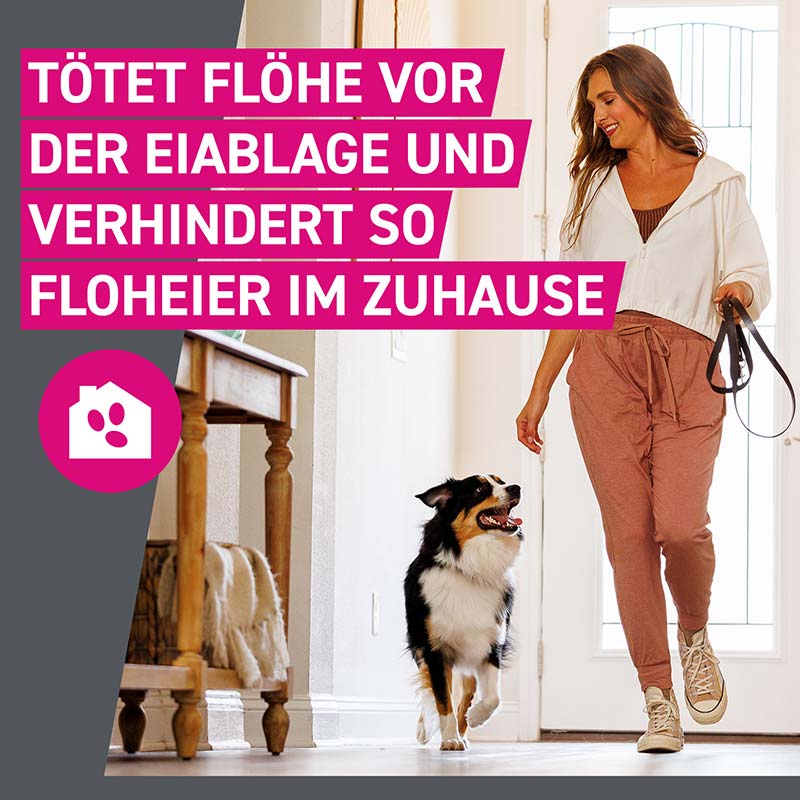 FRONTLINE TRI-ACT gegen Zecken, Flöhe und fliegende Insekten für Hunde XL (40-60 kg)  6 St Lösung