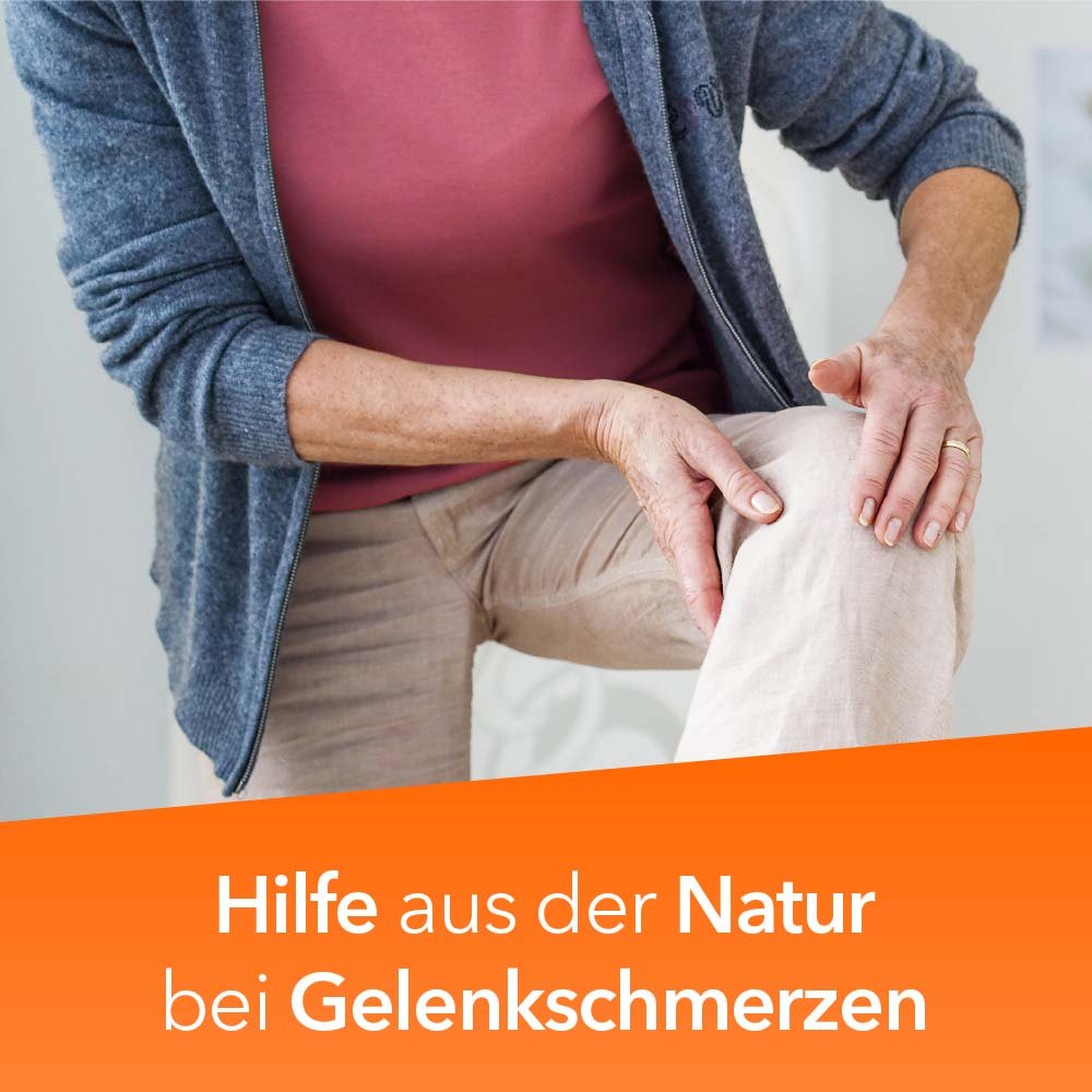 Teufelskralle-ratiopharm 480 mg 100 St Filmtabletten