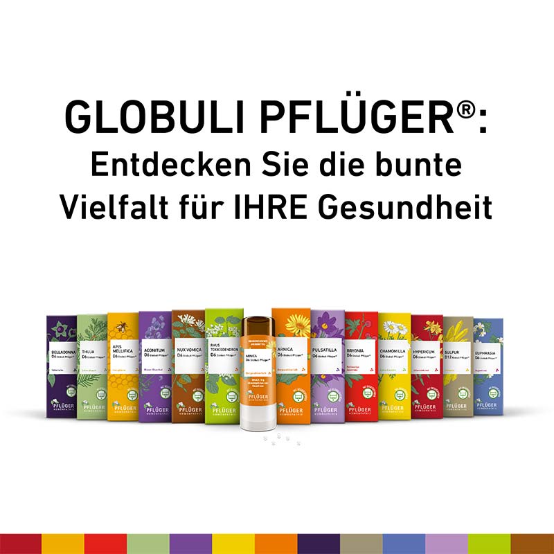 Arnica D12 Globuli Pflüger 10 g Globuli