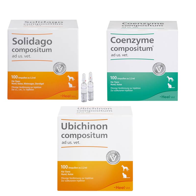 Heel Vet SUC-Bundle 100er 1 St Sparset