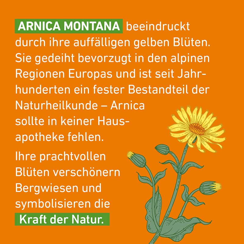 Arnica D6 Globuli Pflüger 10 g Globuli