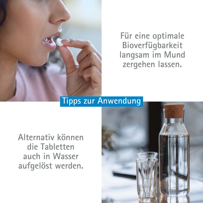 Schüßler-Salz Nr. 11 Silicea D12 4000 St Tabletten
