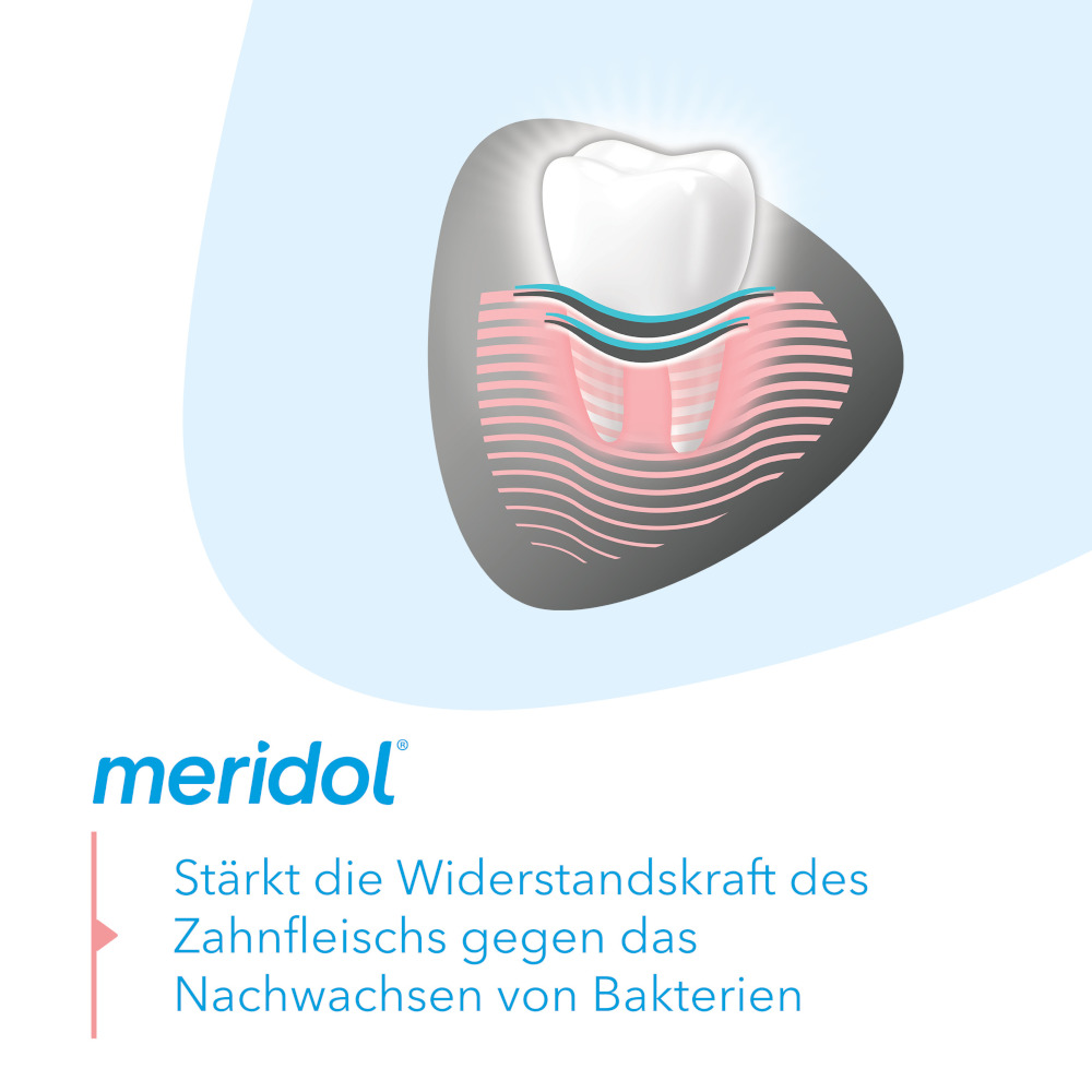 merdiol ZAHNFLEISCHSCHUTZ & SANFTES WEISS Zahnpasta 75 ml Zahnpasta