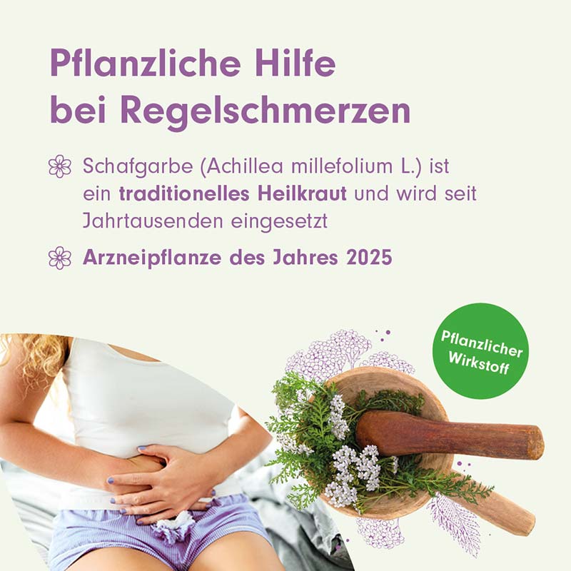 MenoLind BEH 250 mg 30 St Filmtabletten