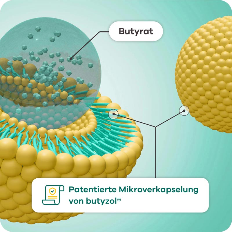 apriwell butyzol  60 St Hartkapseln