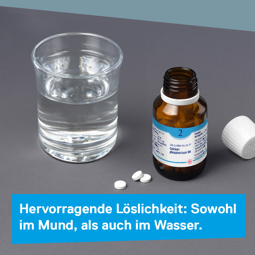 DHU Schüßler-Salz Nr. 2 Calcium phosphoricum D6 900 St Tabletten