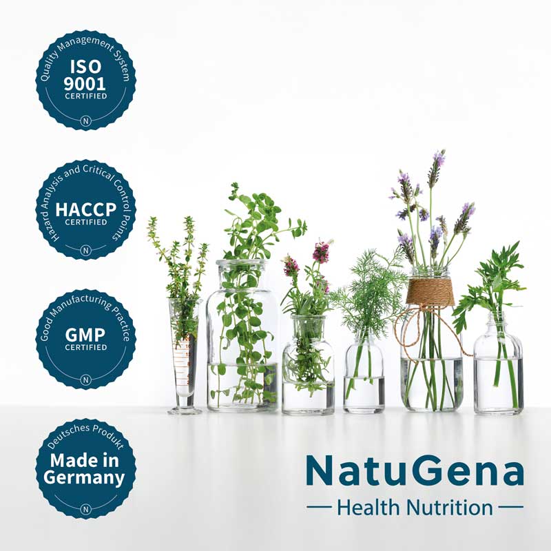 NatuGena Magnesium Glycinat 120 St Kapseln