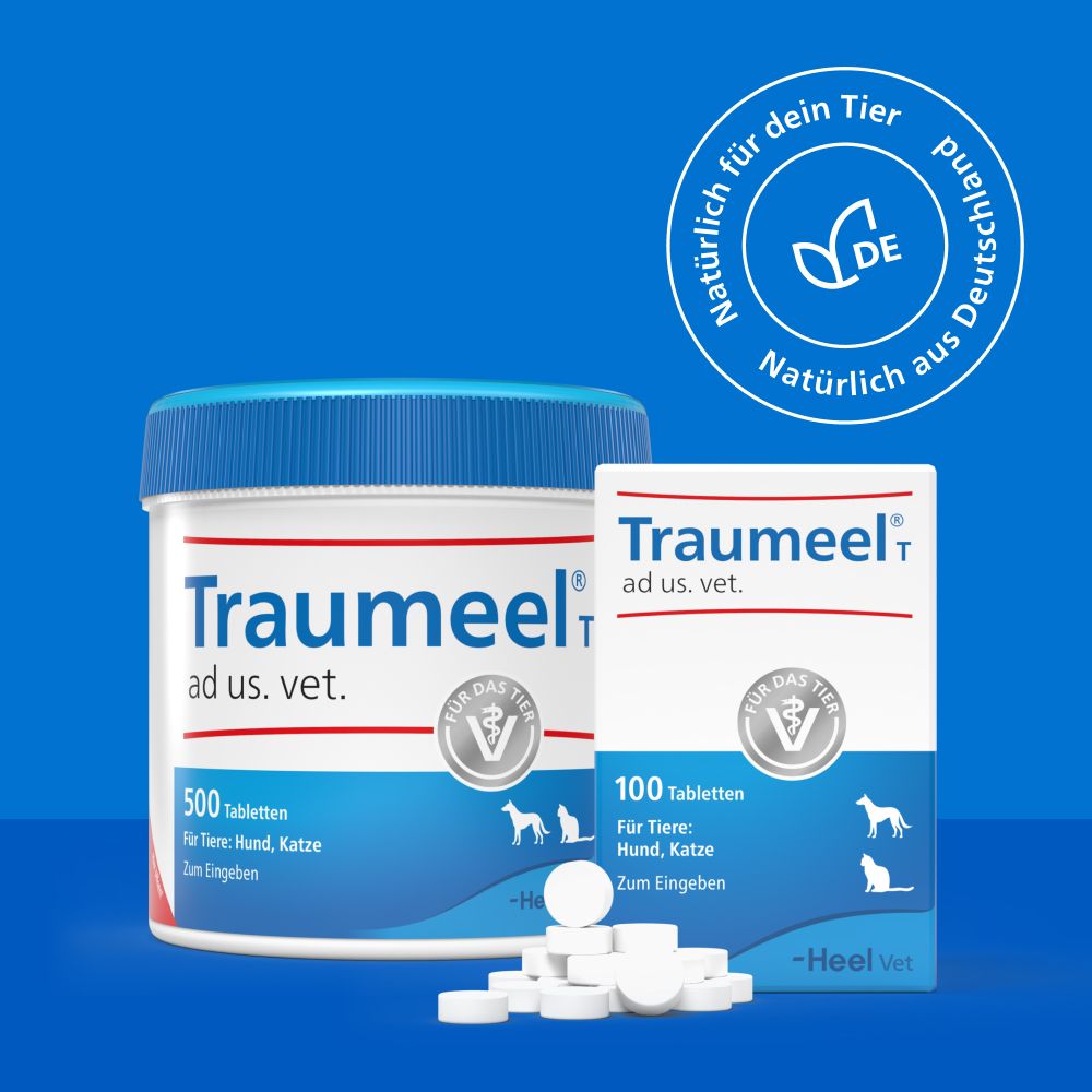 Traumeel T ad us. vet.  250 St Tabletten